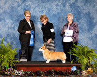 #7 Sat 6 to 9 1st Judge Donna Francis