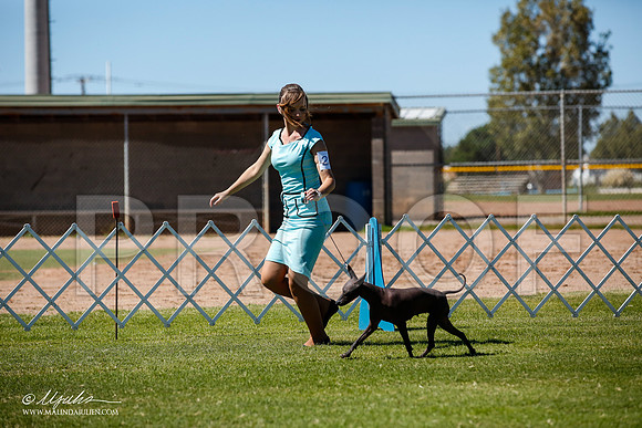 _JJ_8550-AlamogordoOct2014-HR3