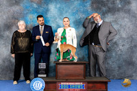 Italian Greyhound #12 WED SB Judge Joao Machado