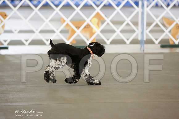 _JN_8654-DallasJul2014-HR3