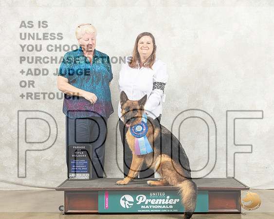 German Shepherd Dog #211 Wed POC Judge Karen Cattin_MMJ_6654_Premier_2022_HR3