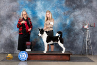 Canaan Dog #5 Thurs G2 Judge Denise Dean