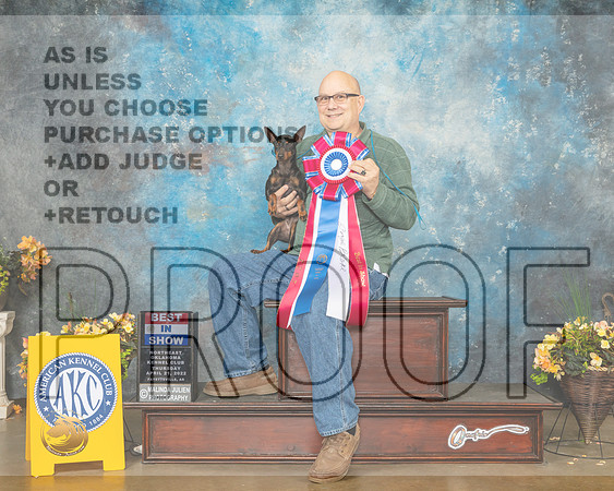 Toy Manchester Terrier #6 Thur BIS Judge Eugene Blake-MMJ_9207-NWARK2022-HR3