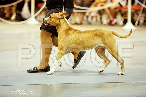 _JJ_5748-DalJul2014-HR3