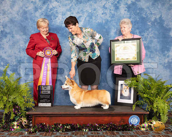 #68 Fri BISS Judge Tammy Johnston__SR_0701_CorgiHstn2020-HR3