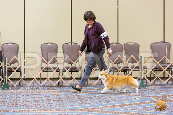 BOB Fri_JJL_4403_CorgiHstn2020-HR3