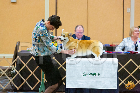 BOB Fri 2_JJL_4529_CorgiHstn2020-HR3