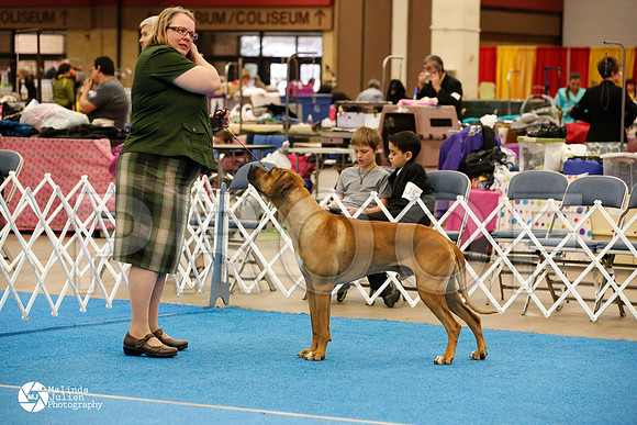 RHOD-0294-FWMar14-HR