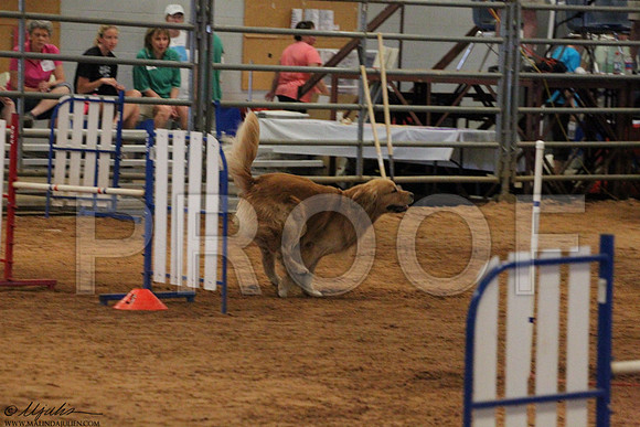 JWWSunAgility-5190LR