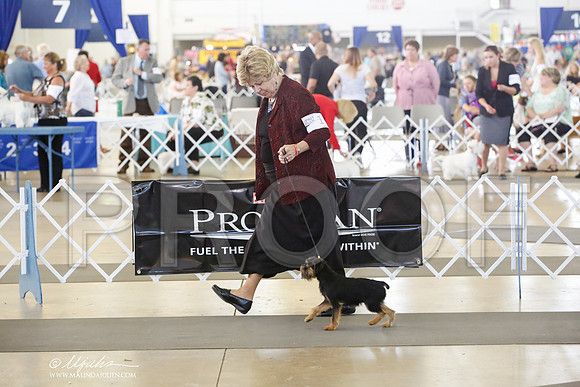 _CK_1465-DallasJul2014-HR3