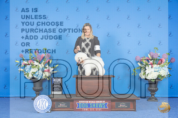 Bichon Frise #7 SAT BOW M Judge James Moses__JP_0007_Houston_2024_HR3