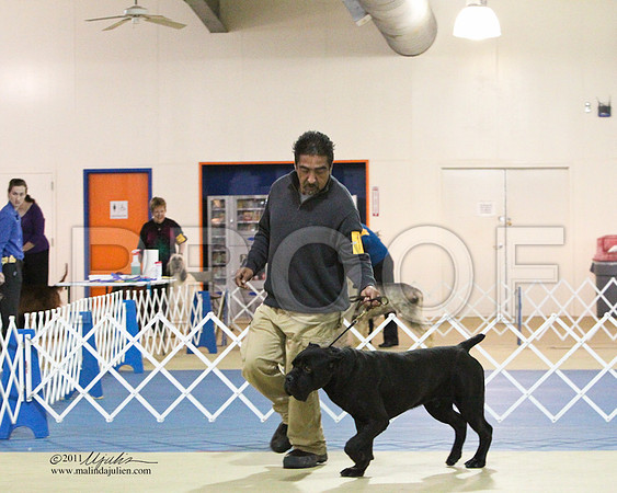 Cane-5129LR