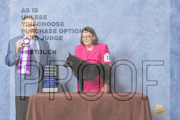 #12 RWB Judge Donald Gill-_CL_8937_Schip_2022-HR3