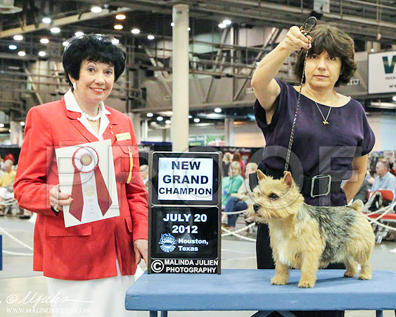 WPNGC-5731 PROOF