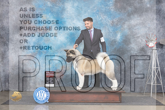 Akita #6 Fri G2 Judge Pat Trotter__JP_5411_Amarillo_2024_HR3