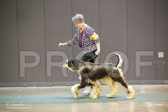 _JN_3986-BeltonJan2015-HR3