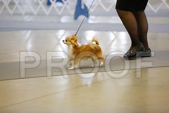 _JJ_8713-AmarilloSept2014-HR3