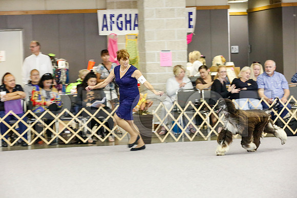 _JJ_1765-AfgBeltonOct2014-HR3