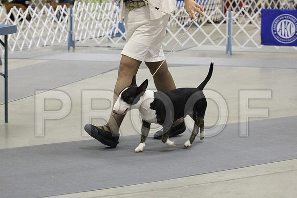 MJS_2649