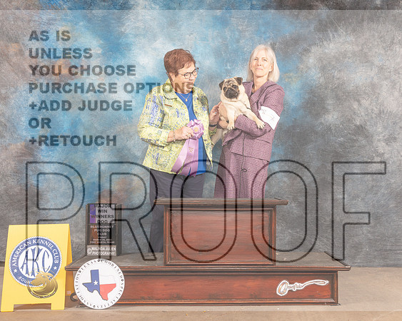 Pug #7 Fri WD Judge Pam Peat-MMJ_7114-FW2022-HR3