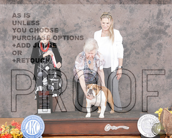Bulldog #8 Fri BOS Judge Nancy LiebesBulldog #8 Fri BOS Judge Nancy Liebes_WP_1614e-Marshall 2025-HR3