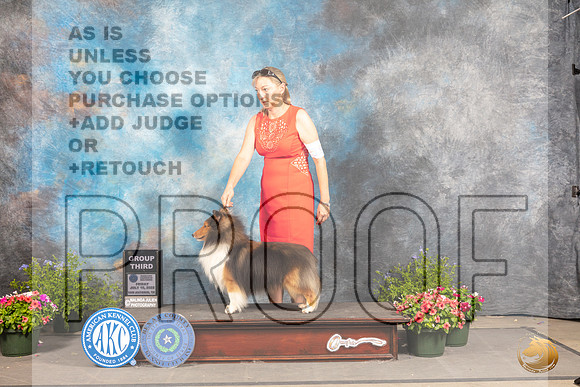 Shetland Sheepdog #19 Fri G3 Judge Allen Odom_MJ_0093_SA_2022_HR3
