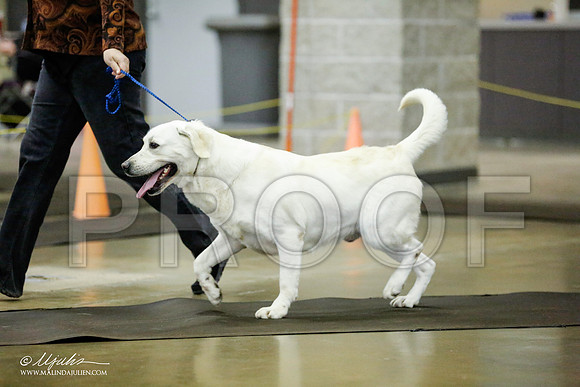 _RH_1125-BeltonJan2015IABCA-HR3