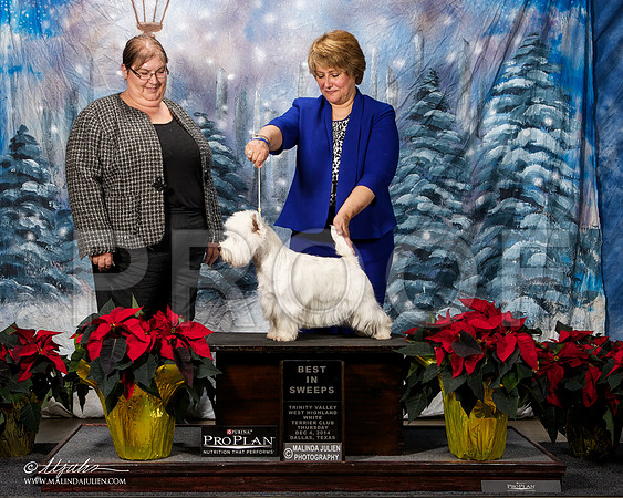 _ST_7953-DallasDec2014-HR3