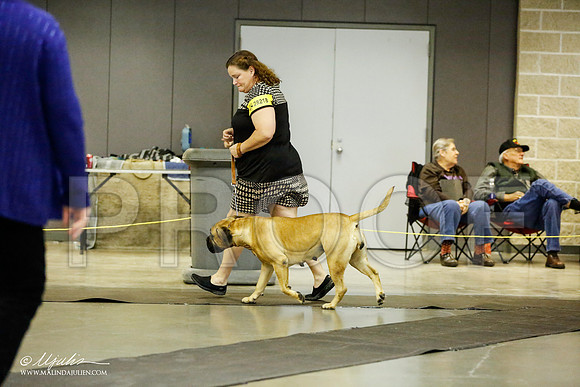 _RH_1894-BeltonJan2015IABCA-HR3