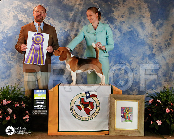 beagle-4923-HstnMar14-HR3