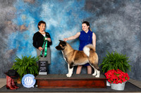 Akita #14 Fri AOM Judge Pamela Lambie