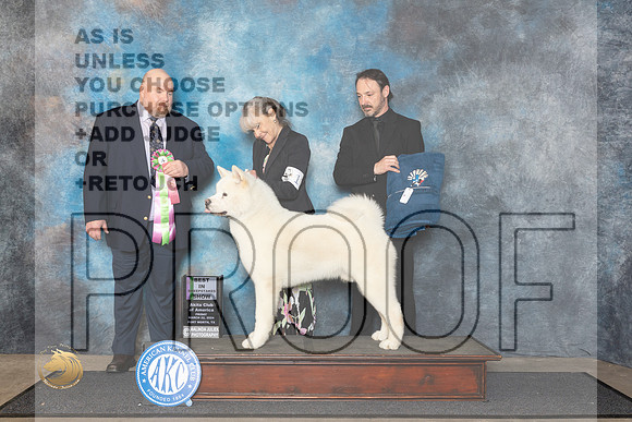 Akita #17 Fri BISweeps Judge Fred Hagerman__JP_1417_FWKC_2024_HR3