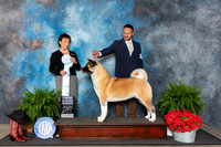 Akita #18 Fri SB Judge Pamela Lambie