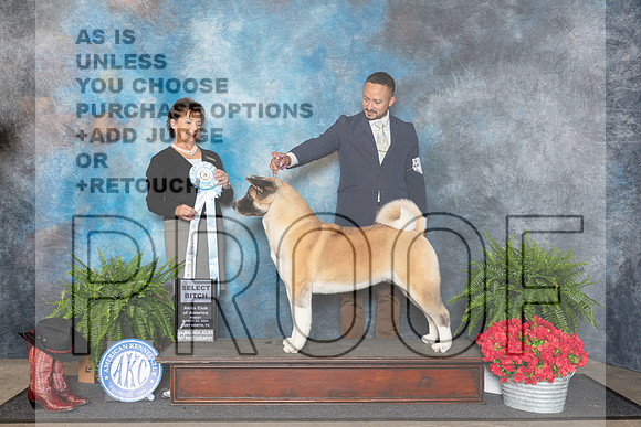 Akita #18 Fri SB Judge Pamela Lambie__JP_1593_FWKC_2024_HR3