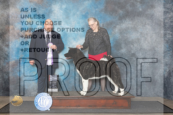 Akita #22 Fri BOSSweeps Judge Fred Hagerman__JP_1423_FWKC_2024_HR3