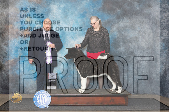 Akita #22 Fri BOSSweeps Judge Fred Hagerman__JP_1425_FWKC_2024_HR3