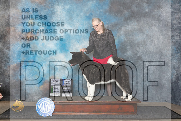 Akita #22 Fri BOWBBECH Judge Ken Buxton__JP_1437_FWKC_2024_HR3