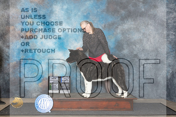 Akita #22 Fri BOWBBECH Judge Ken Buxton__JP_1438_FWKC_2024_HR3