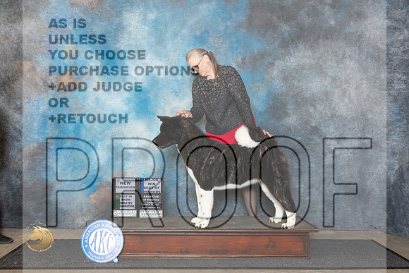 Akita #22 Fri BOWBBECH Judge Ken Buxton__JP_1439_FWKC_2024_HR3