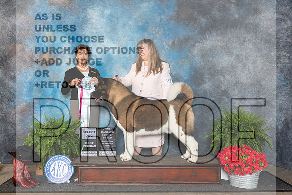 Akita #23 Fri SDOHBOBBVet Judge Pamela Lambie__JP_1604_FWKC_2024_HR3