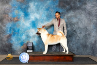Akita #24 Fri SB Judge Ken Buxton