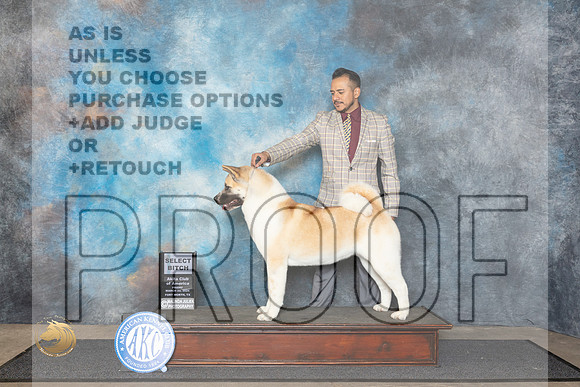 Akita #24 Fri SB Judge Ken Buxton__JP_1453_FWKC_2024_HR3