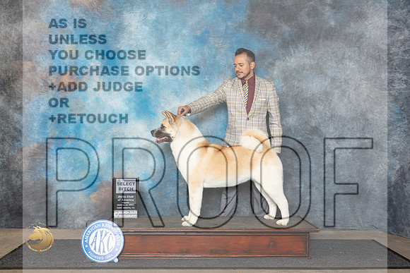 Akita #24 Fri SB Judge Ken Buxton__JP_1454_FWKC_2024_HR3