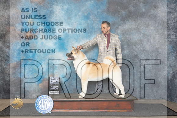 Akita #24 Fri SB Judge Ken Buxton__JP_1456_FWKC_2024_HR3