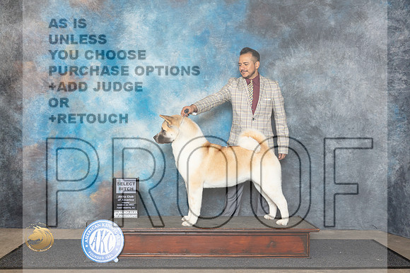 Akita #24 Fri SB Judge Ken Buxton__JP_1457_FWKC_2024_HR3