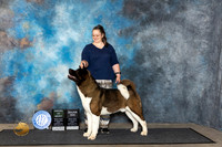 Akita #25 Fri WDAOM Judge Ken Buxton
