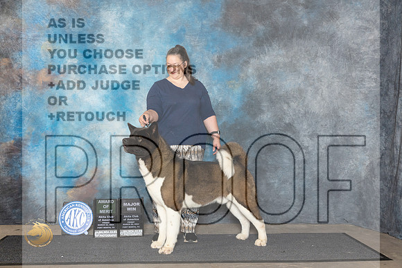 Akita #25 Fri WDAOM Judge Ken Buxton__JP_1464_FWKC_2024_HR3