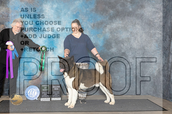 Akita #25 Fri WDAOM Judge Ken Buxton__JP_1469_FWKC_2024_HR3