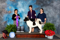 Akita #52 Fri WB Judge Pamela Lambie