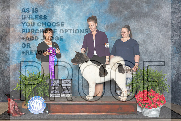 Akita #52 Fri WB Judge Pamela Lambie__JP_1583_FWKC_2024_HR3